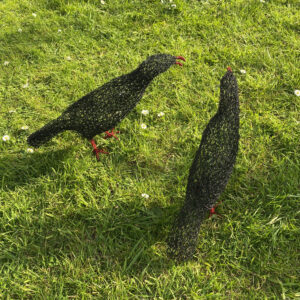 Melissa Orrom Swan WOA: Two choughs. Wirework garden sculptures. Freestanding Approx life-size