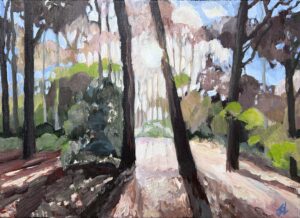 Joanne Lillywhite: Forest Light