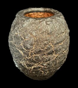 Veronica Dudley OAS: 'Cracked' pot