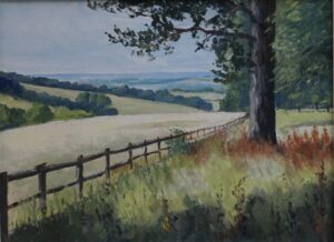 Michael Worthington: View from the Chiltern hills