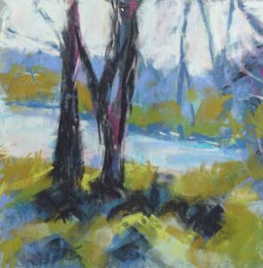 Sue Cashman: Village Pond Wolvercote. Pastels