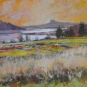 Barbara Payne: The Sgurr of Eigg