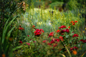 Bruno Guastalla: Sissinghurst Kent