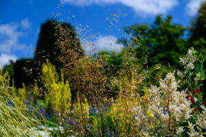 Bruno Guastalla: Great Dixter Kent