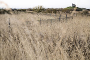 Bruno Guastalla: Milton firing range - East of Gravesend