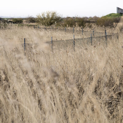 Milton firing range - East of Gravesend Kent