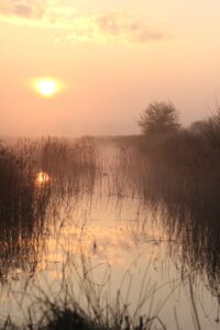 Graham Perryman: Dawn at Otmoor