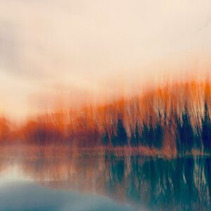 Etain O'Carroll: A blurred image of trees by the riverside at sunset