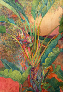 Lian Lanni: Dwarf Jamaican Heliconia