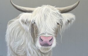 Melanie Charles: Eilish highland cow acrylic on canvas