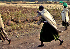 Frank Newhofer: Ethiopia