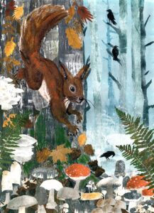 Hayley Noakes: The Forager Squirrel