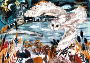Hayley Noakes: The Foxcote Owl
