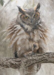 Val Hughes: Great Horned Owl - A hand painted digital watercolour. Framed size 30x40cm