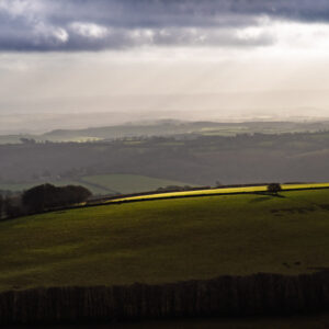 Oxford Photographers: Photo © Howard Stanbury | Edgemoor and other places