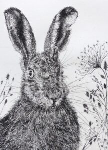 Sue Side OAS: Hedgerow Hare