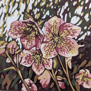 Alexandra Buckle: Hellebore Light linocut by Alexandra Buckle