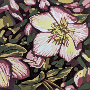 Alexandra Buckle: Hellebore Shade linocut by Alexandra Buckle
