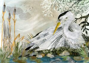 Hayley Noakes: Heron en Attente