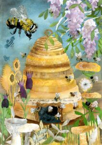 Hayley Noakes: Honey for Sale