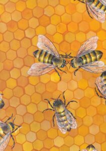 Ruth Harris (Catkin Studio): "Honeybees" by Ruth Harris | Catkin Tree Studio - available as prints on homeware via website or Artweeks venue, prices from £2.50 to £25.00