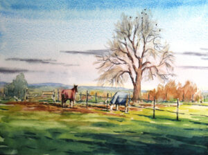 Daniel Blackmore: Horses in Elsfield in winter light, £80