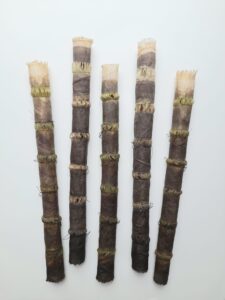 Carol Harvey: 'HORSETAIL CLUSTER', each 5cm x 48cm, walnut-dyed and waxed linen, pulled threads, found fishing wire, each £90