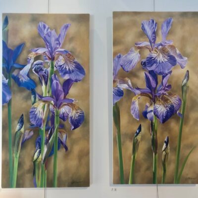 Oil paintings of irises