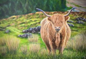 Janet Bird: ‘Highland Native’, acrylics on box canvas, 20 x 30 inches, £650.00