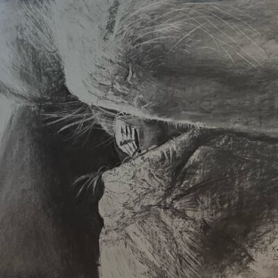 Portrait of Mike, Up Close