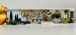 Kim Taylor: Open Gardens