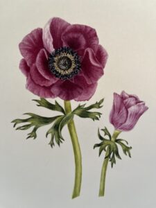Polly Wyatt: