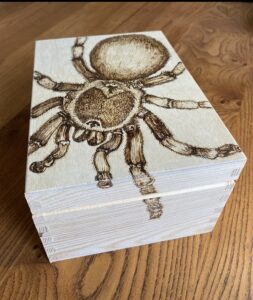Helen Beech: Spider box