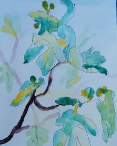 Frieda van de Poll: Figleaves, watercolours