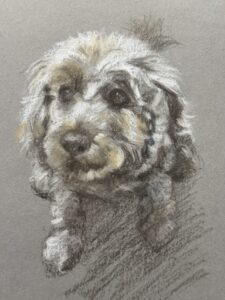 Lizzy Price: Bessie - sketch