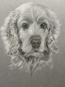 Lizzy Price: Monty - recent portrait commission