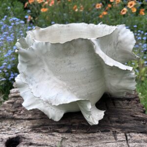 Ariana Orsi: Leaf vase