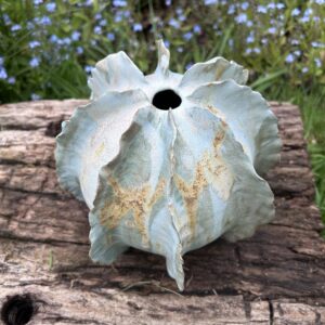 Ariana Orsi: Seed pod vase