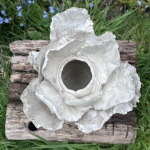 Ariana Orsi: Flower vase