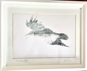 Jude Sanders SOA: Chough flying high