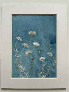 Jude Sanders SOA: Daisies
