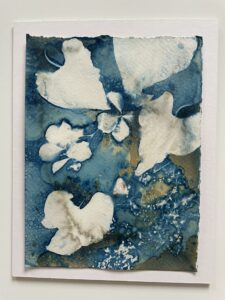 Jude Sanders SOA: Summer Day