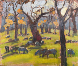 Francesca Shakespeare OAS: Sheep, Blenheim. Oil on board. Francesca Shakespeare
