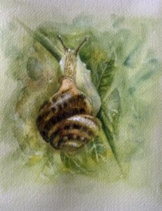 Maureen Sparling: Harry’s Favourite Meal