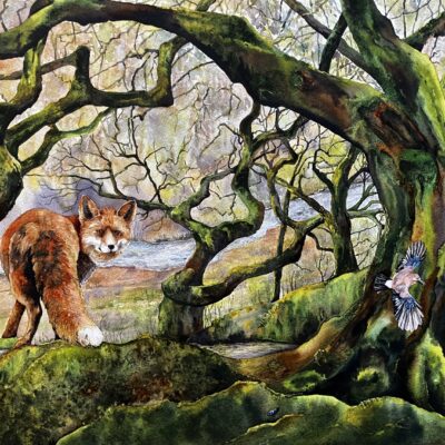 Fox and Jay Watercolour