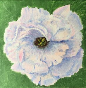 Mirjam Chappell: Lisianthus, acrylic on stretched canvas, 20 x 20cm, £85