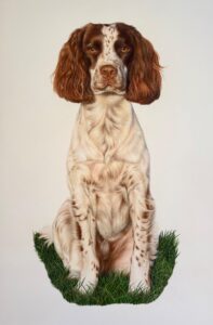 Emma Wicks: Bespoke Pet Portraits - Available Upon Request