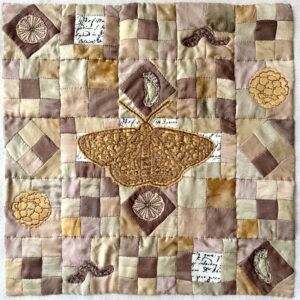 Catherine Rye: Chequered One - An intricate, square, pieced patchwork in natural dyed silks with an embroidered butterfly, chrysalis, caterpillar and flowers.