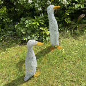 Melissa Orrom Swan WOA: Runner ducks. Weatherproof garden sculpture, freestanding. Approx life-size.