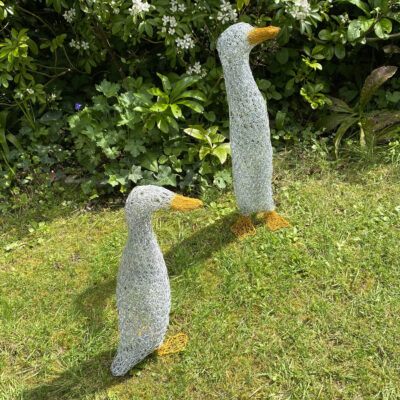 Runner ducks. Weatherproof garden sculpture, freestanding. Approx life-size.